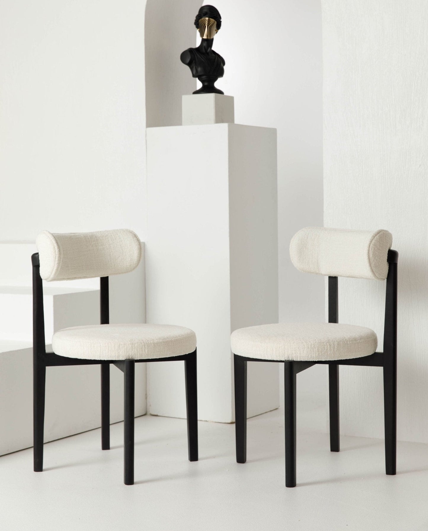 Modern Minimalist dining chair